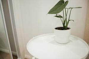 Double room with shared bathoom