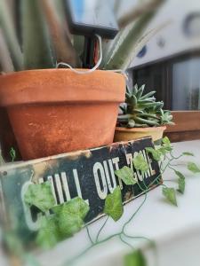 Patio & Sherry Apartamento