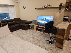 Bright and Cozy Studio with Garage near the Center