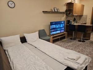 Bright and Cozy Studio with Garage near the Center