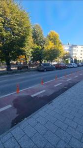 Central Parc Apartment