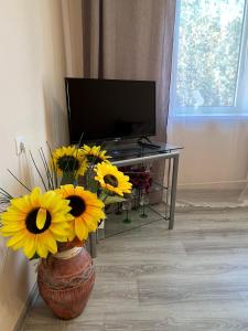 Siguldas Laimas Apartment Self-Check in