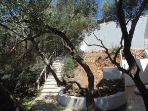 Torre Comfort House img12