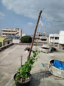 Sri Kanakadhara Vididhillu