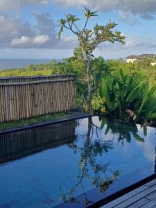 Green Bowl Beach Private Villa