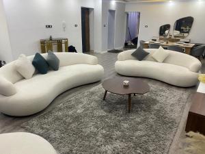 شقه فندقية علي النيل مباشر