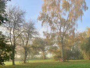 Gîte Banet-Sart à Daverdisse