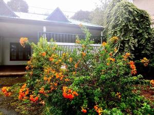 ANN FIELD BUNGALOW Home Stay