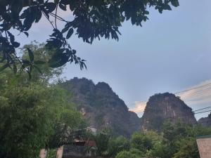 Nha Xanh Ninh Binh Homestay
