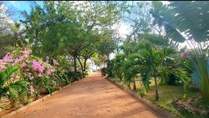 Beach Apartment Bahari Beach