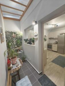 Νόστος στο κέντρο των Ιωαννίνων