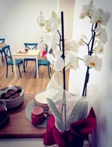 B&B Magnolie