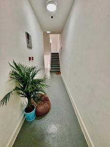 Luxury Apartment with Grand Living Space London