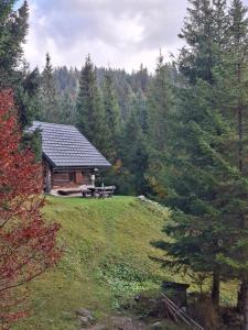 Brunarica na Goreljeku, Pokljuka