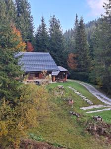 Brunarica na Goreljeku, Pokljuka