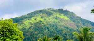 Urban Nest Apartment