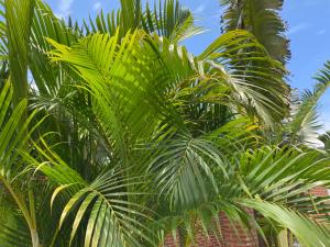 Casaquinta en Corrientes con Pileta