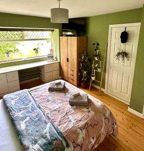 Spacious Private Home and Plant Paradise in Limerick City