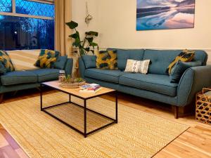 Spacious Private Home and Plant Paradise in Limerick City