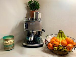 Spacious Private Home and Plant Paradise in Limerick City