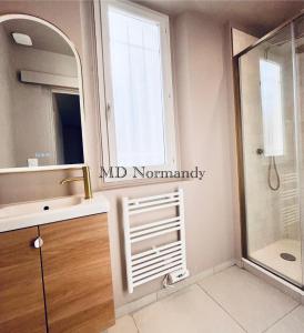 Duplex 2 à 6 personnes - Plein centre Deauville