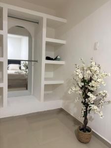 The Room Veracruz, super location