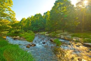 Reel Relaxing at Eagles Nest