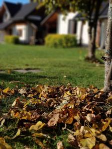 Chaty Gajowego w Bieszczadach