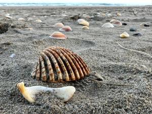 Village Naturiste R4N - Le Naïa Jardin dEden Couple Only