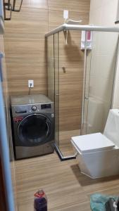 A melhor visão da presidente Vargas