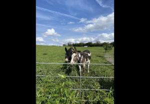 POPPY LUXURY LODGE Sleeps 8 at Fairview Farm, Ravenshead, Nottingham Near Sherwood Forest, Dog Friendly, Farm Stay great for wedding groups, families, Hen Dos, friends gatherings with amazing views