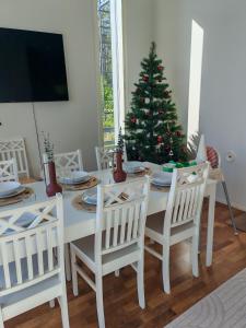 Villa Aurora of Lapland - Under the Northern Lights