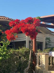 قريه المروه الساحل الشمالي فيلا 5 غرف وحمام سباحه خاص