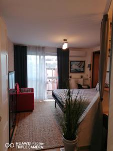 City pioneer Apartmens