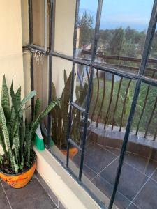 Bliss Apartment - ONE BEDROOM Milimani, Kitengela Town