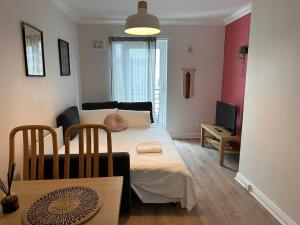 Compact 1 bedroom apt plus sofa bed next to Guinness