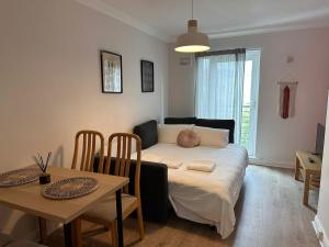 Compact 1 bedroom apt plus sofa bed next to Guinness