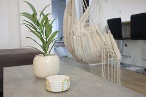 Modern Apartment G66 in the Center