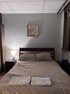 Mango Hostel - 420 Friendly