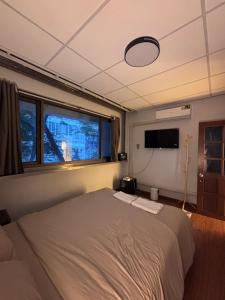 Mango Hostel - 420 Friendly