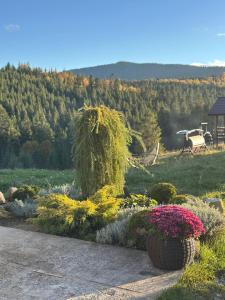 Мелодія Гір Вид на гори