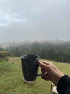 Мелодія Гір .Апартаменти з видом на гори .
