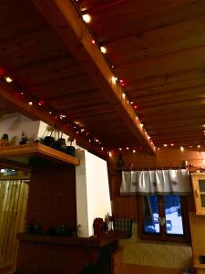 Domek pod Modrzewiem