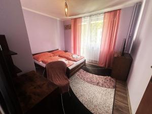 Wypoczynek Między Świerkami