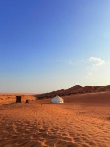 Bedouin Stars