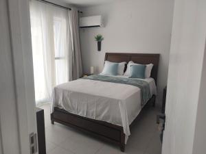 402 oasis in the city