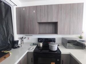 402 oasis in the city