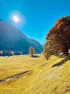 Schweizerhaus Glarus - Historisch & Stilvoll mit Garten