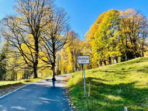 Schweizerhaus Glarus - Historisch & Stilvoll mit Garten