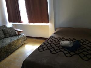 Trotamundo Oaxaca Hostel